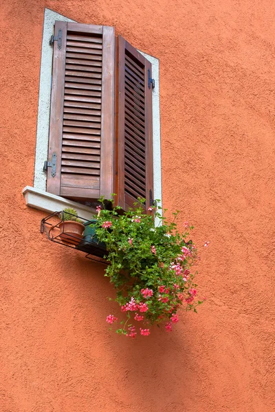 明るい赤の花を持つ古いテラコッタの壁 垂直方向のショット — ストック写真