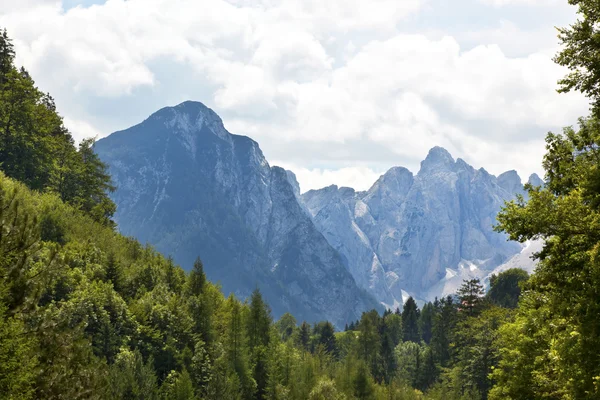 stock image European alps, Italian Dolomites: mountains and forest