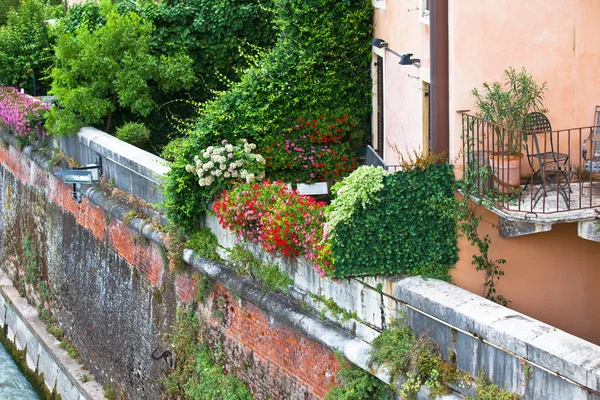 Terraza Flores Sobre Orilla Del Río Verona Plano Horizontal —  Fotos de Stock