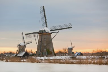 Windmills in Kinderdijk at winter sunset clipart