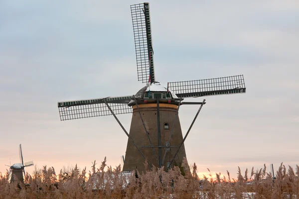 Moulins à vent à Kinderdijk au coucher du soleil d'hiver — Photo