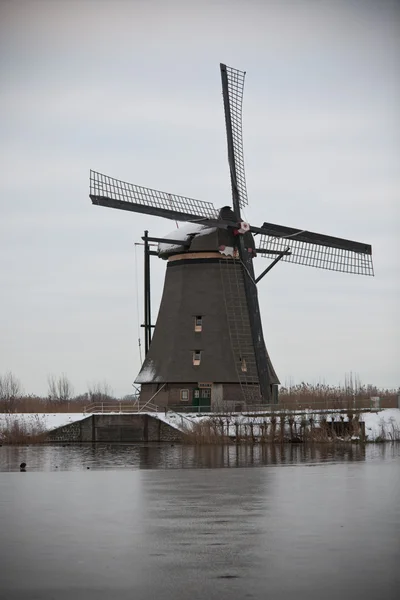 Mulino a vento a Kinderdijk — Foto Stock