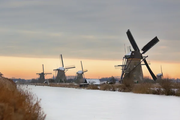 Windmills in Kinderdijk at winter sunset — Stock Photo, Image