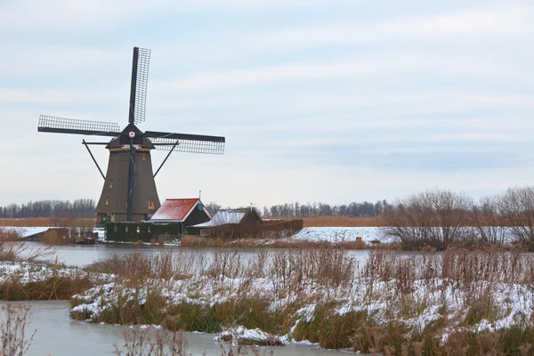 Větrné mlýny v kinderdijk v zimě — Stock fotografie