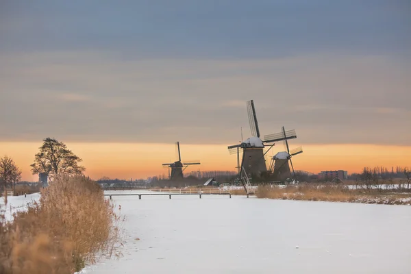 Větrné mlýny v kinderdijk v zimě slunce — Stock fotografie