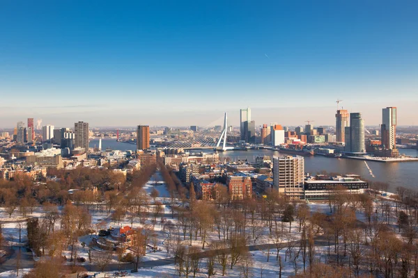 Blick auf den Rotterdam — Stockfoto