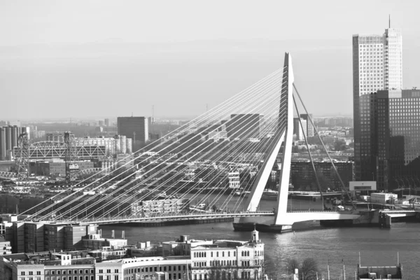 Erasmus híd Rotterdamban — Stock Fotó