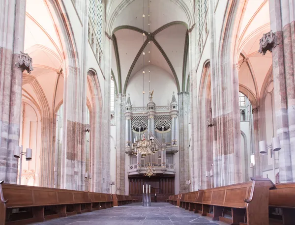 Domkerk in utrecht — Stockfoto