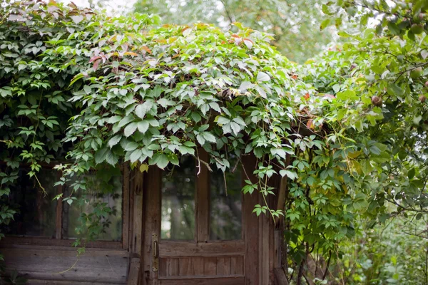 入り口の古い放棄された庭の家 — ストック写真