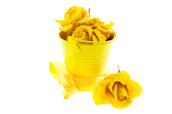 Dry yellow roses and bucket with ribbon — Stock Photo, Image