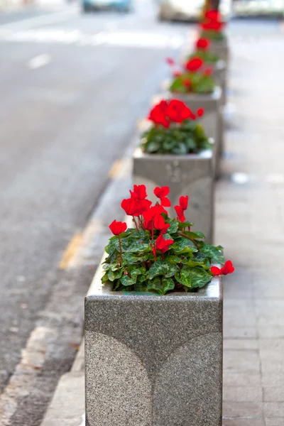 Pots de fleurs en pierre le long d'une rue de la ville — Photo