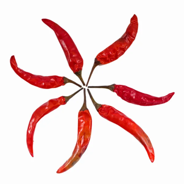 在白色背景上孤立的红辣椒 — 图库照片