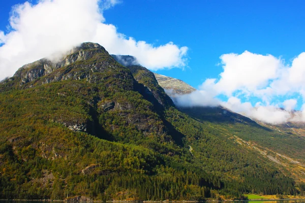 Das Land des Waldes und des Schnees in den Bergen, aufgenommen in Norwegen — Stockfoto