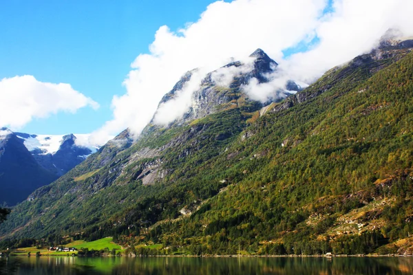 A föld, a fa és a hó a hegyekben tett Norvégiában — Stock Fotó