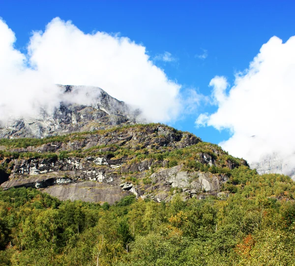 A terra da madeira e neve nas montanhas tomadas na Noruega — Fotografia de Stock
