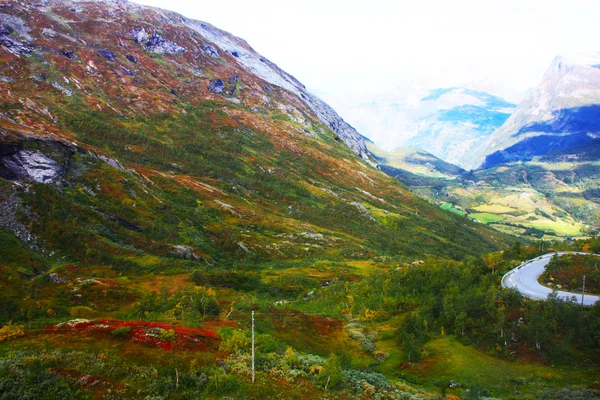 La tierra del bosque y la nieve en las montañas tomadas en Noruega —  Fotos de Stock
