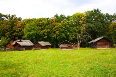 renkli ağaçlarda sonbaharda pirogovo parkında çekilmiş ahşap evler