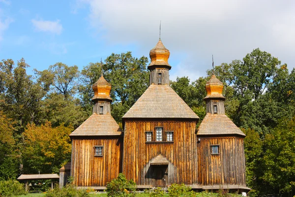 Houten huizen in gekleurde bomen genomen in park in het najaar in pirogovo — Stockfoto