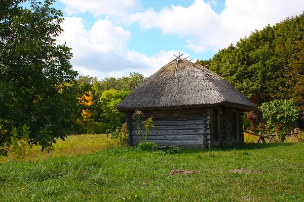 Pirogovo の秋の公園で撮影の色の木の木造住宅 — ストック写真