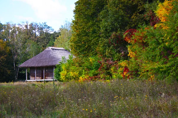 Деревянные домики в цветных деревьях, сделанные в парке осенью в Пирогово — стоковое фото