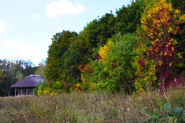 stock image Wooden houses in colored trees taken in park in autumn in Pirogovo