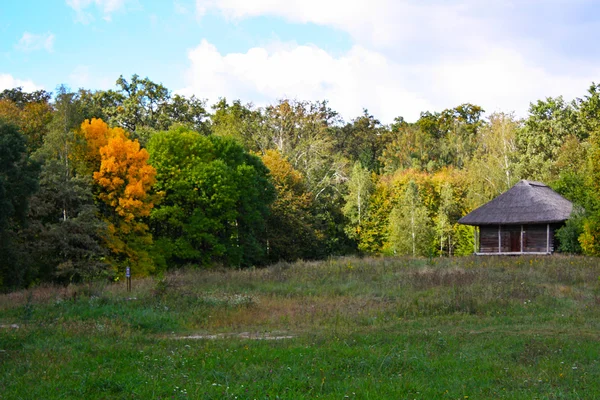 Casas de madeira em árvores coloridas tomadas no parque no outono em Pirogovo — Fotografia de Stock
