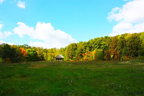 Casas de madera en árboles de colores tomadas en el parque en otoño en Pirogovo —  Fotos de Stock