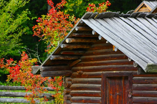 在彩色树在秋天在 pirogovo 在公园中采取的木房子 — 图库照片