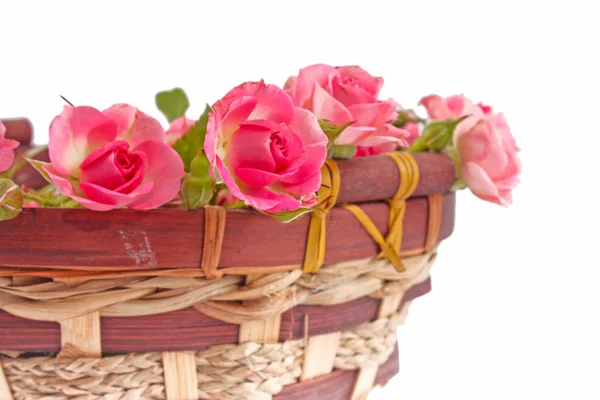 Rosas rosadas en una canasta — Foto de Stock