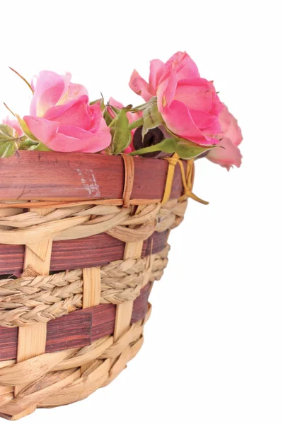 Roze rozen in een mand — Stockfoto