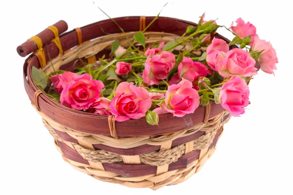 Rosas rosadas en una canasta —  Fotos de Stock