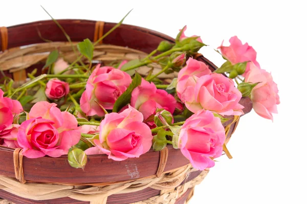 篮子里的粉红玫瑰 — 图库照片