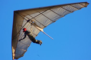 Hang gliding in Crimea taken in summer clipart