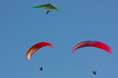 Paraglider flight in Crimea clipart