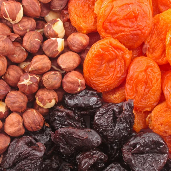 Dried fruits and hazelnuts — Stock Photo, Image