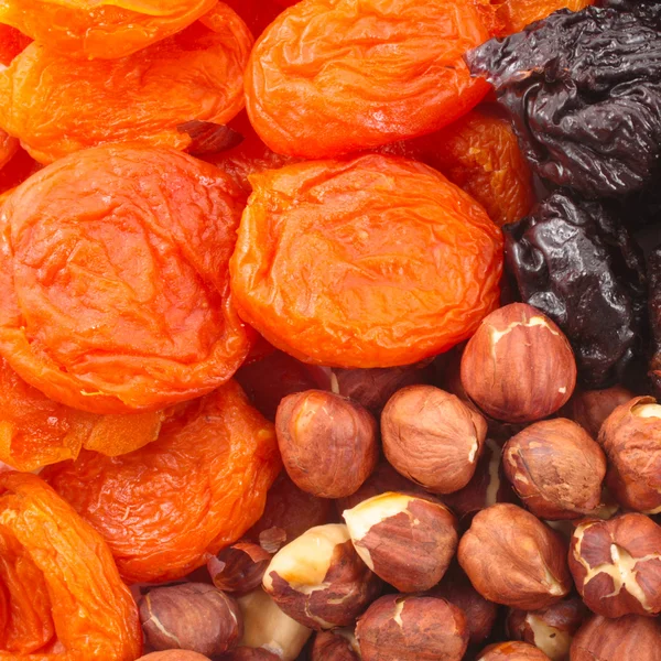 Dried fruits and hazelnuts — Stock Photo, Image