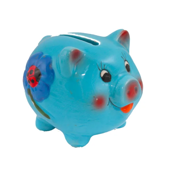 Stock image A blue piggy bank