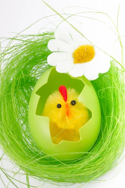 stock image Easter eggs and easter chicks