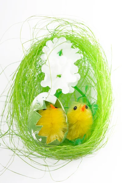 stock image Easter eggs and easter chicks