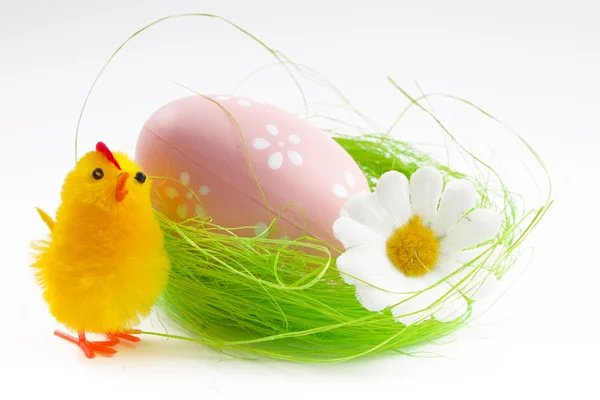 stock image Easter eggs and easter chicks