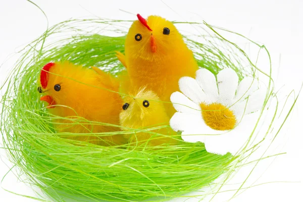 Пасхальные яйца и пасхальные птенцы — стоковое фото