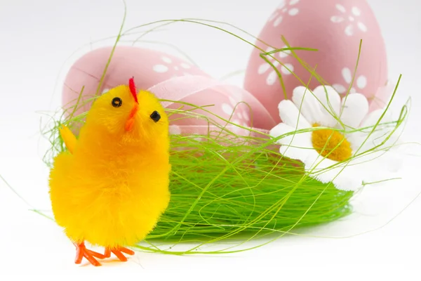 Stock image Easter eggs and easter chicks