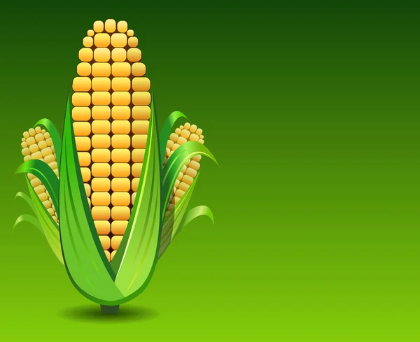 Ilustração do milho — Fotografia de Stock