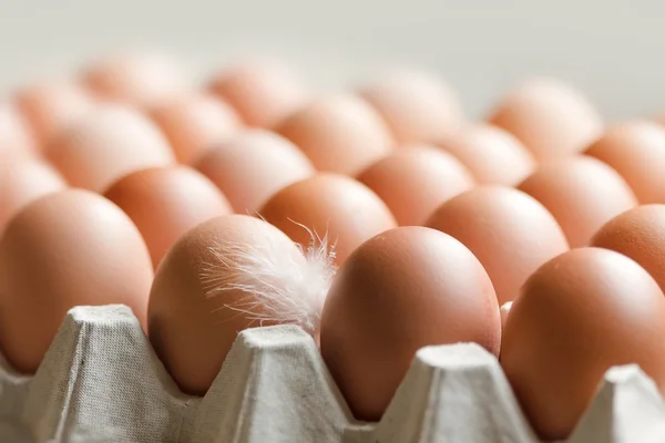 Huevos en una caja —  Fotos de Stock