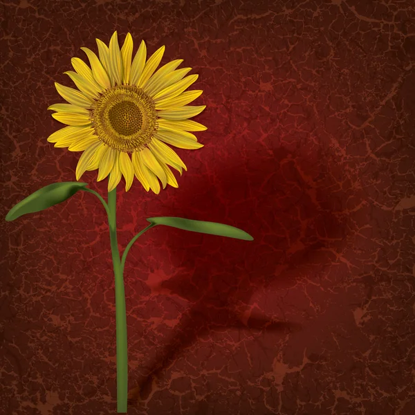 Illustration florale abstraite — Image vectorielle
