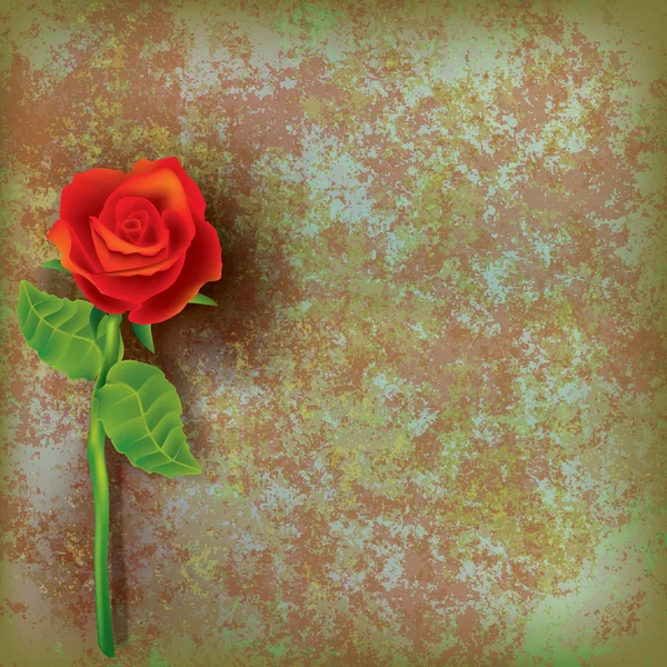 Abstrakte florale Illustration mit roter Rose — Stockvektor