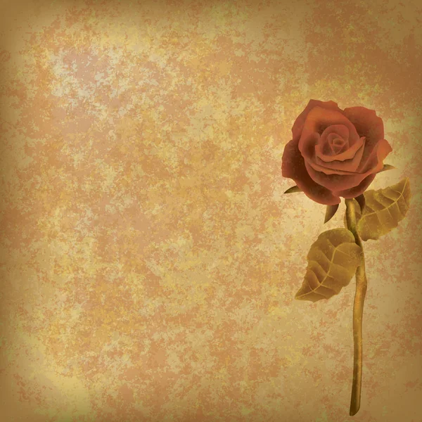Абстрактная цветочная иллюстрация с розой на грязном фоне — стоковый вектор