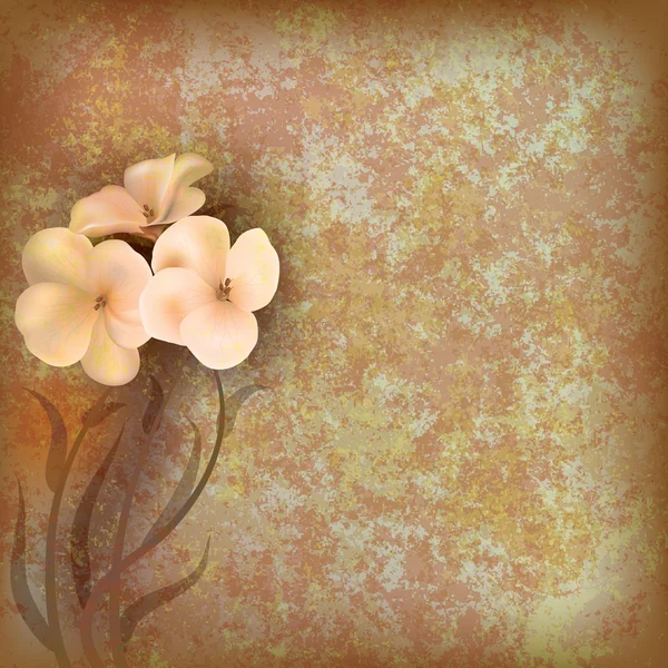 Grunge floral illustratiun met bloemen — Stockvector