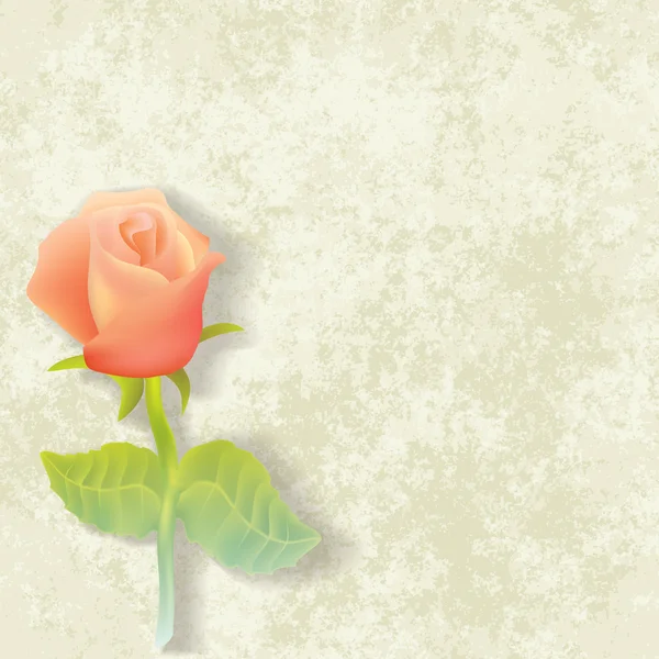 Abstrakte florale Illustration mit Rose — Stockvektor