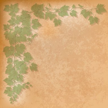 grunge illustration with grape leaves clipart